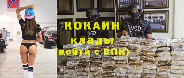 стафф Нефтегорск